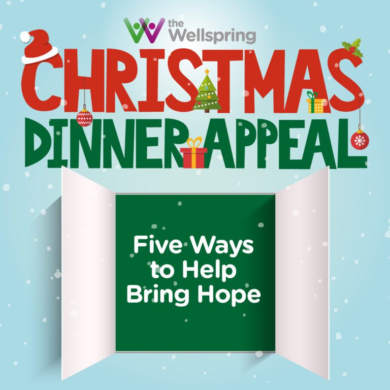 Christmas appeal graphic